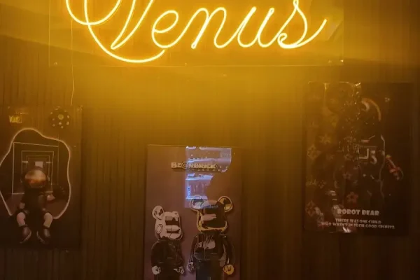 하노이 비너스 가라오케 4